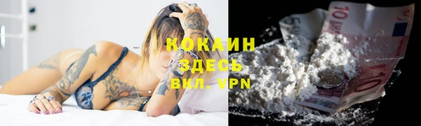 ПСИЛОЦИБИНОВЫЕ ГРИБЫ Нея