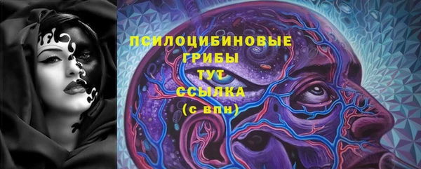 apvp Валдай