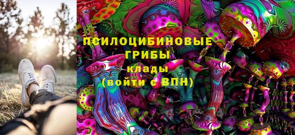 метамфетамин Бутурлиновка