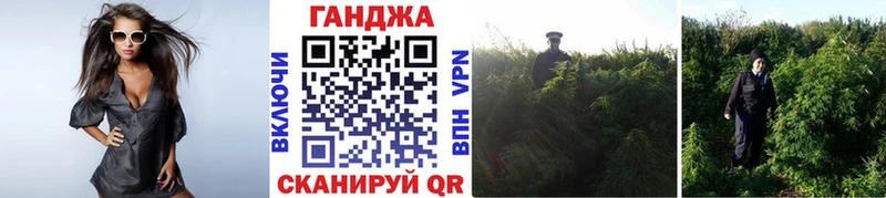 Марихуана гибрид  купить закладку  Пыталово 
