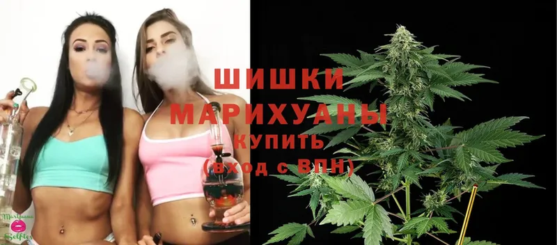 hydra tor  Пыталово  Марихуана White Widow 